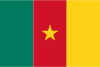 Flag map of Cameroon